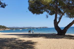 deux personnes debout sur une plage à côté d'un arbre dans l'établissement appartement dans résidence avec piscine, à La Londe-les-Maures