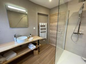 een badkamer met een wastafel en een douche bij La Perle d'Alsace in Bernardswiller