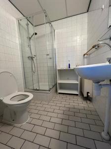 ein Bad mit einer Dusche, einem WC und einem Waschbecken in der Unterkunft Rekerlanden 275 in Warmenhuizen