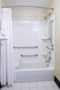 a bathroom with a bath tub with a shower curtain at Fairfield Inn and Suites New Buffalo in New Buffalo