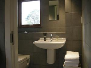 a bathroom with a sink and a toilet and a window at Blar na Leisg self catering Lodge 1 in Drumbeg