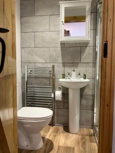 ein Bad mit einem WC und einem Waschbecken in der Unterkunft The Snug at Greystones in Buckden