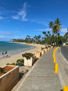 um passeio junto a uma praia com palmeiras e o oceano em La Dolce Vita Rental, Las Terrenas, Samana em Santa Bárbara de Samaná