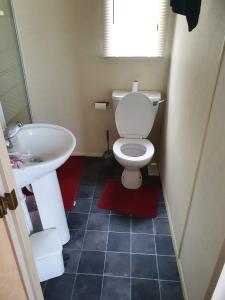 a bathroom with a white toilet and a sink at R and B static Caravan in Skegness