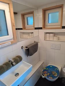 een badkamer met een wastafel en een toilet bij Lake View Chalet in Bönigen