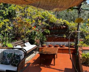 A garden outside Il Nido a Portovenere