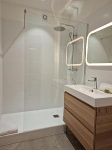 a bathroom with a shower and a sink at Le Ness - Face au Pont des Amours - Majord'Home in Annecy