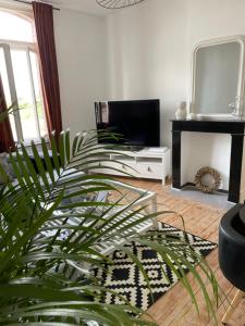 un salon avec une plante en pot et une télévision dans l'établissement LE MATISSE Appartement de 60m2 au centre de Cambrai terrasse plein sud, à Cambrai