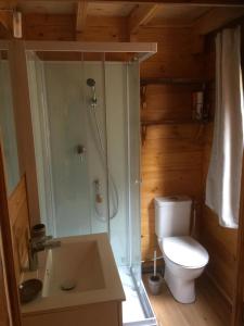 a bathroom with a toilet and a shower and a sink at Chalet de La Peyramont in Lanarce