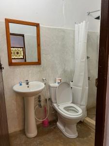 a bathroom with a toilet and a sink and a mirror at Beytsalaam Apartments in Lamu