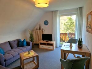 a living room with a couch and a tv at Ferienwohnungen Tannenhof in Willingen