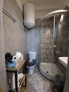 W łazience znajduje się toaleta, prysznic i umywalka. w obiekcie Kapsala's family HOME w mieście Agios Ioannis Pelio