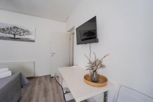 TV a/nebo společenská místnost v ubytování Silver Room