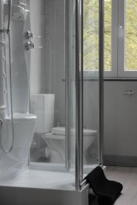 a bathroom with a toilet and a glass shower at Liotte'sCorner Guesthouse in Sprimont