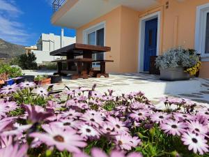 a garden of pink flowers in front of a house at Almyra seaside in Perdika