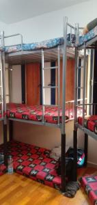 a room with three bunk beds in a room at Dormitory bed space in a shared room in Sharjah