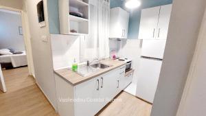 Kuchyňa alebo kuchynka v ubytovaní Vasileiadou Coastal Rooms