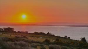 a sunset over the water with sheep grazing on a field at Mount Brandon Hostel in Cloghane