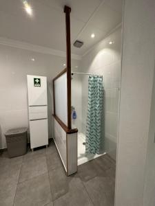 y baño con ducha a ras de suelo y cortina de ducha. en Paradise Apartments I en Santa Cruz das Flores