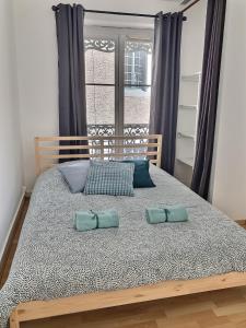 een slaapkamer met een bed met 2 kussens erop bij Quartier historique et populaire du château de Pau in Pau