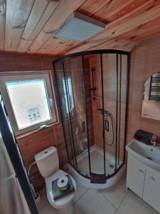 een badkamer met een douche, een toilet en een wastafel bij nr.2 - W POLU DOBREJ ENERGII 