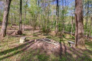 dois bancos sentados no meio de uma floresta em Vacation Rental Near Shenandoah National Park! em McGaheysville