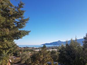 a view of the ocean from a hill with trees at Under the Red Rock and View Studio in Áyioi Apóstoloi +6 photos