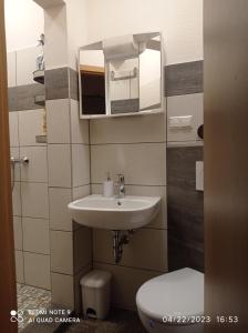 La salle de bains est pourvue d'un lavabo, de toilettes et d'un miroir. dans l'établissement Rince, à Lahr/Schwarzwald