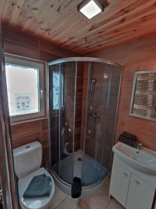 a bathroom with a shower and a toilet and a sink at Nr3 - W POLU DOBREJ ENERGII 