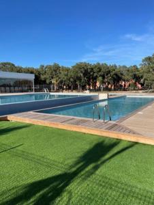 une grande piscine avec une pelouse verdoyante à côté de celle-ci dans l'établissement Appartement en résidence 3☆ , n°85, à Lecci