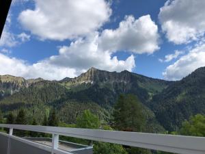 Paesaggio naturale nelle vicinanze dell'appartamento