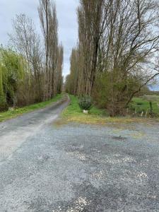 an empty road with trees on the side of it at P’tit Gîte du prieuré in Champdolent