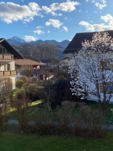 - une vue sur une ville avec un arbre à fleurs dans l'établissement Modern eingerichtete Wohnung mit 2 Schlafzimmern, à Bergen