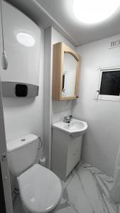 a small bathroom with a toilet and a sink at Domki Malinowe Tarasy in Wisła