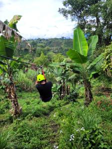 Photo de la galerie de l'établissement Chalet Ecoturismo La Nohelia, à Jericó