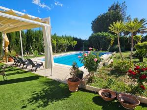a backyard with a swimming pool and a garden at Casa Elizabeth in Palomares del Río