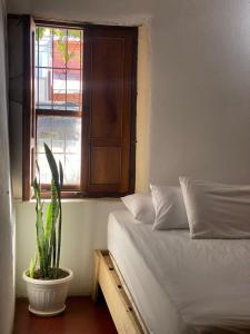 a bedroom with a bed and a window and a plant at Puente Real Hostel in Liberia