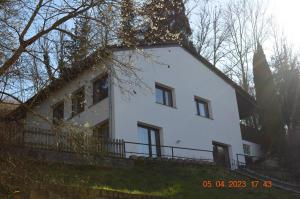 een groot wit huis met een rieten dak bij Dolomitenblick in Gerolstein