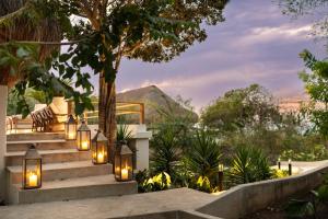 a set of stairs with lights in a garden at Hotel Agua Baru by Mustique in Baru
