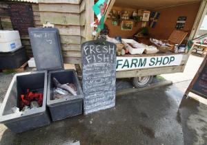 a food stand with a sign and a cart with food at Hafan Penrhyn in St. Davids