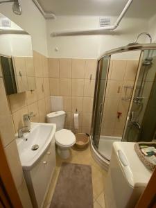 a bathroom with a toilet sink and a shower at Apartament pod Złotą Małpą in Głuchołazy