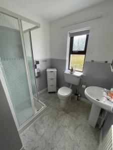 a bathroom with a shower and a toilet and a sink at Heather Hill Cottage in Downings
