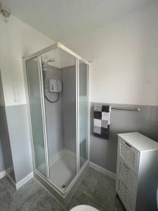 een douche met een glazen deur in de badkamer bij Heather Hill Cottage in Downings