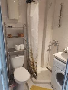 ein Badezimmer mit Toilette und Duschvorhang in der Unterkunft Chicago Studio Apartment in Ohrid