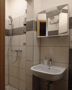 La salle de bains est pourvue d'un lavabo et d'un miroir. dans l'établissement Rince, à Lahr/Schwarzwald