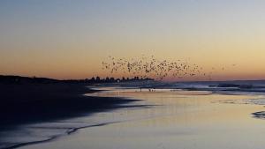 Gallery image of Gaviotas Beach Home in Las Gaviotas