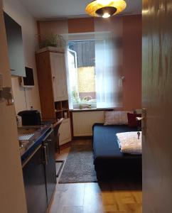 - un salon avec un canapé bleu et une fenêtre dans l'établissement Rince, à Lahr/Schwarzwald