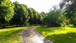 a dirt road in a field with trees at Roulotte Un temps pour soi in Bérat