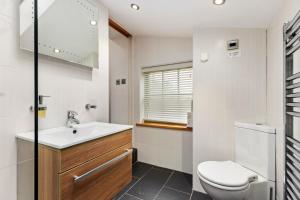 ein Badezimmer mit Toilette und Waschbecken in der Unterkunft The Woodland Retreat Pembrokeshire Dog-friendly in Haverfordwest + 10 Fotos