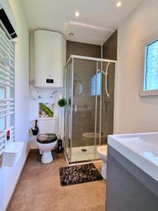 uma casa de banho com um chuveiro, um WC e um lavatório. em La Maison de la Saye & SPA em Mios